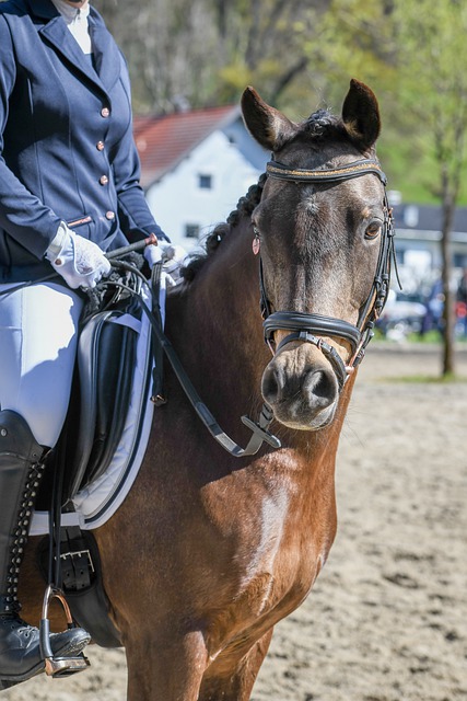 上的卓越表 上的卓越表
