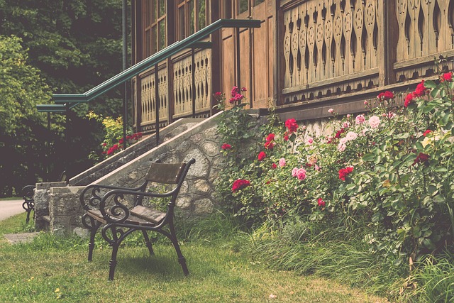 中击败德国 中击败德国