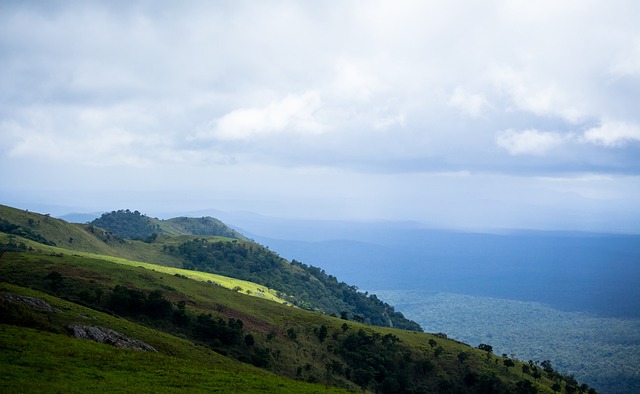 力和团队协 力和团队协
