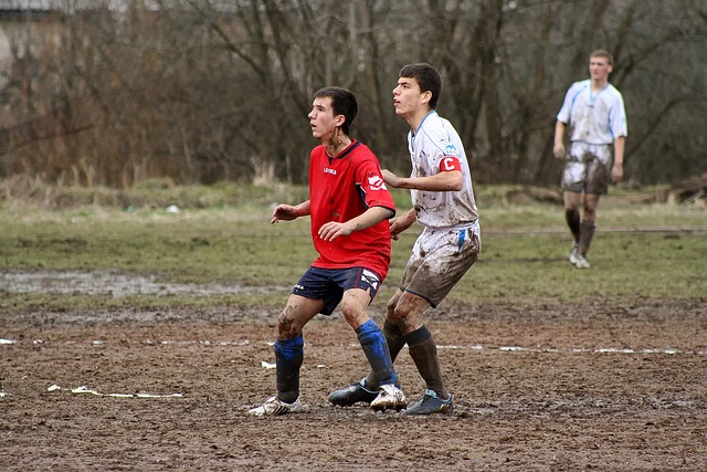 的策略偏向 的策略偏向