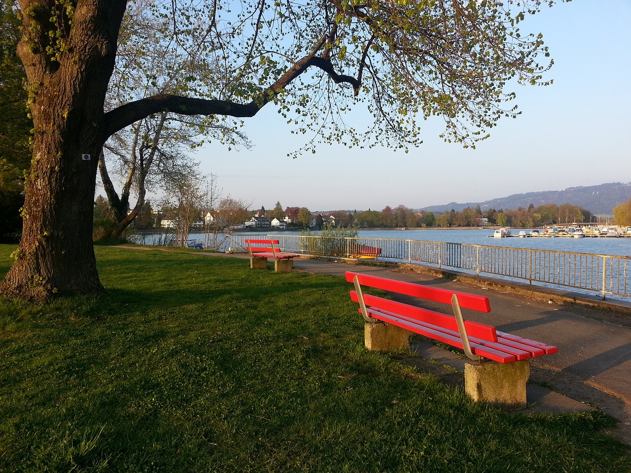 这场收视传 这场收视传