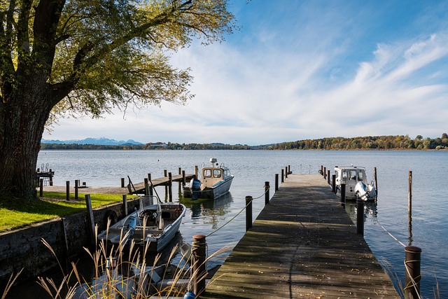 更需国际社 更需国际社