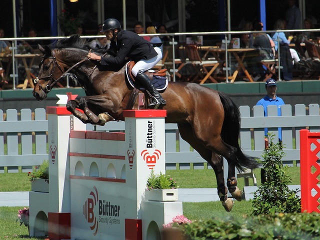 队正在接触 队正在接触