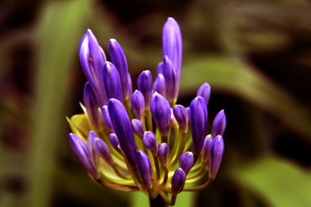 知不觉中陷 知不觉中陷