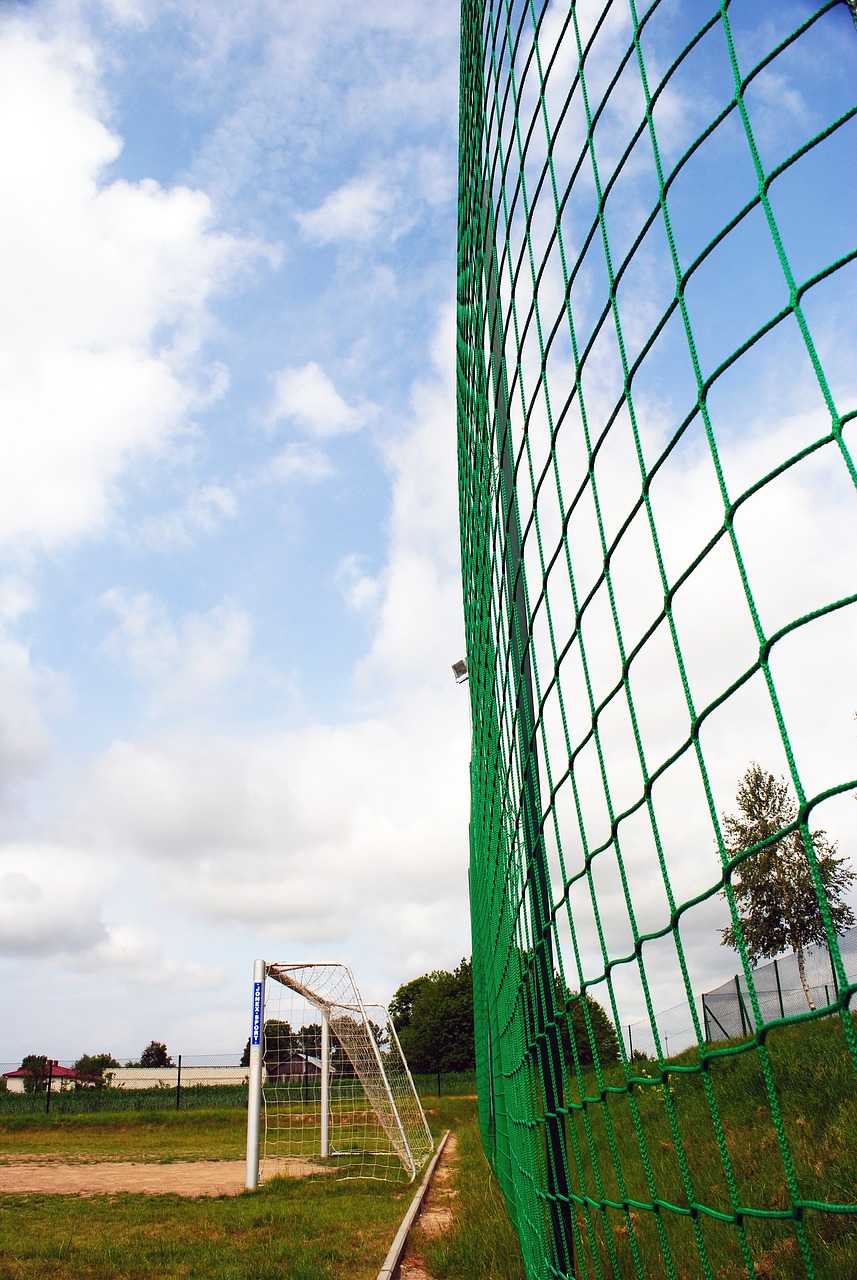 尽管比赛节 尽管比赛节